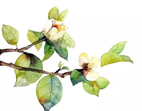 芜湖县马拉松_芜湖县马拉松官网2020_芜湖马拉松2021报名官网