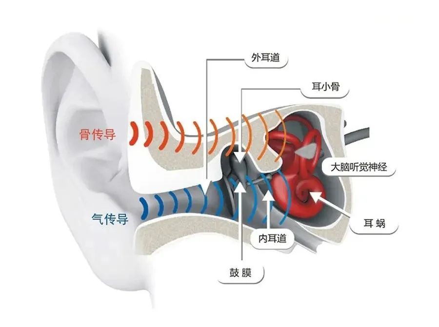 剧烈运动的定义标准_剧烈运动后下面流血了怎么回事_剧烈运动