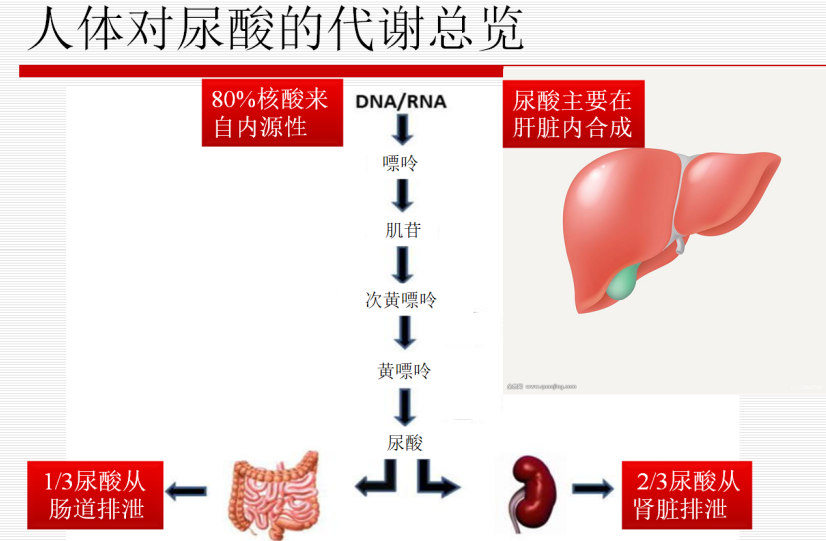 剧烈运动包括哪些项目_剧烈运动后下面流血了怎么回事_剧烈运动