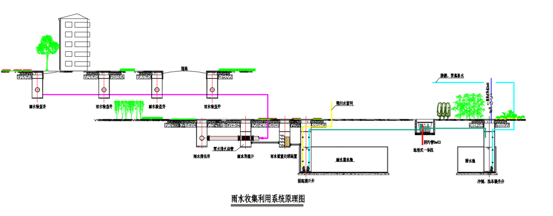 基地训练_基地活动是什么_运动基地