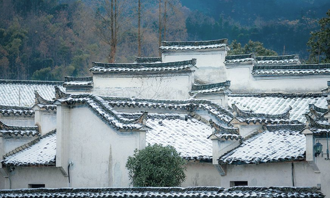 小雪节气养生指南：吃三食忌三事守三时，国